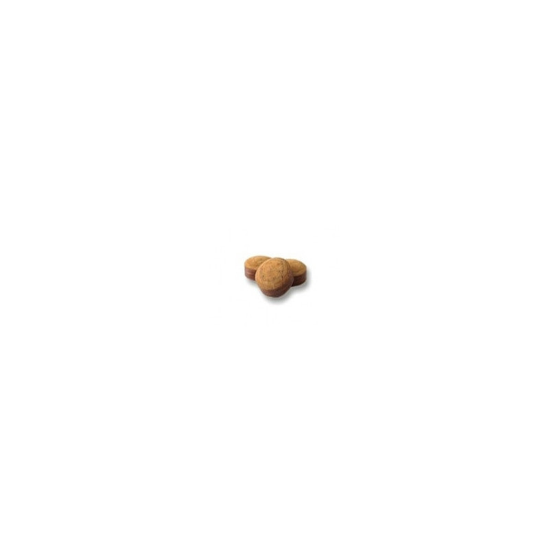 Procédés Talisman Pro Médium 10 mm (par 3)