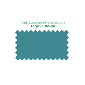 Tapis 861 Strachan 165 cm Bleu Poudre